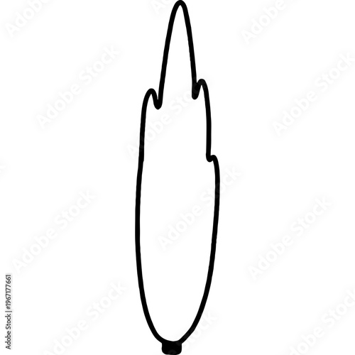 Slim poplar tree outline. Vertical accent plant vector for narrow spaces in landscape architecture and garden design