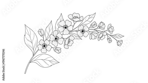 Detailed black and white line art illustration of a blossoming tree branch with delicate flowers and leaves for nature coloring.