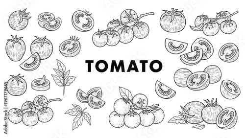 Comprehensive set of tomato illustrations in black and white line art featuring whole sliced and vine-ripened varieties.