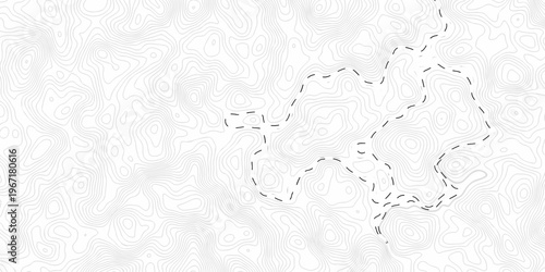 Contour abstract map relief land outline. Topographic map patterns. White wave paper curved reliefs abstract background. Background of the topography map. Abstract pattern with lines.