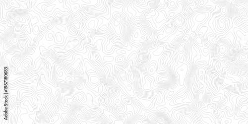 Contour abstract map relief land outline. Topographic map patterns. White wave paper curved reliefs abstract background. Background of the topography map. Abstract pattern with lines.
