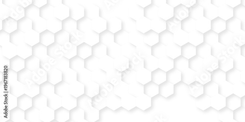 Abstract background with hexagon, modern abstract polygonal pattern. Futuristic abstract honeycomb technology white background. Luxury white hexagon pattern.