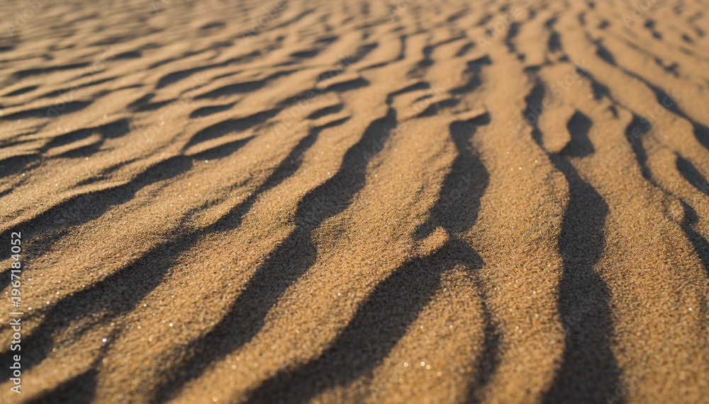 Fototapeta premium Sand dunes display natural wavy patterns in desert landscape environment