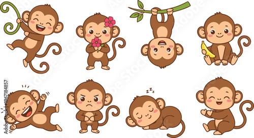 Adorable Monkey Character Collection Vector Illustration