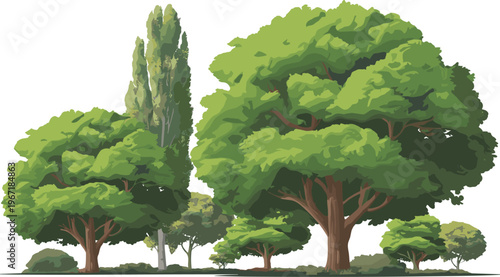 Lush green trees landscape scene, dense foliage canopy with layered forest elements, natural outdoor environment, detailed vector illustration for ecology, park and garden design projects