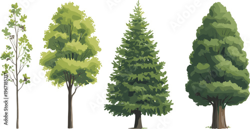 Mixed tree types collection, deciduous and conifer trees set, detailed green foliage canopy variations, natural landscape elements, isolated vector illustration for forestry and design