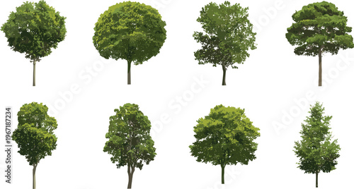 Realistic deciduous trees set, detailed green foliage canopy variations, natural forest landscape elements collection, isolated vector illustration for environment, park and garden design