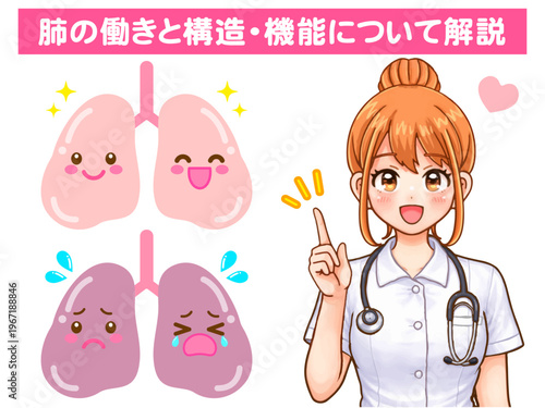 肺の説明をする看護師の女性のアニメ系図解イラスト素材
