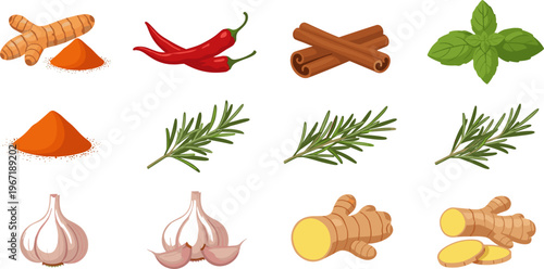 Herbs and Spices Collection Featuring Turmeric, Chili Pepper, Cinnamon Sticks, Basil, Rosemary, Garlic and Ginger Natural Cooking Ingredients Vector Set