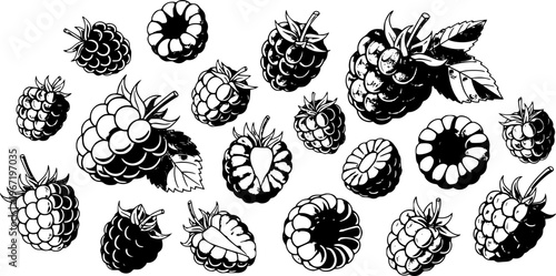 Fruit and organic food icon set featuring a colorful arrangement of cartoon raspberries in various shades – Color Vector Illustration