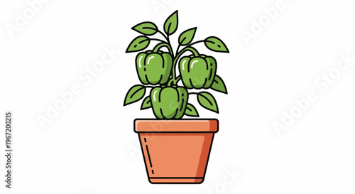 A potted plant with three green bell peppers and leaves