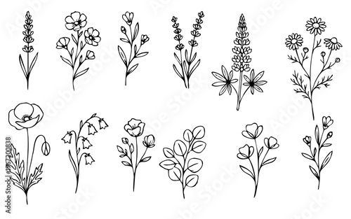 Floral branch and minimalist flowers for logo or tattoo. Hand drawn line wedding herb, elegant leaves for invitation save the date card. Botanical rustic trendy