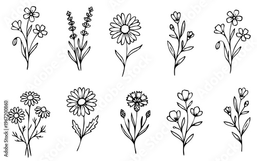 Floral branch and minimalist flowers for logo or tattoo. Hand drawn line wedding herb, elegant leaves for invitation save the date card. Botanical rustic trendy