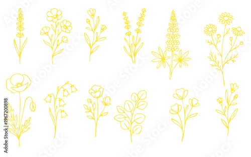 Floral branch and minimalist flowers for logo or tattoo. Hand drawn line wedding herb, elegant leaves for invitation save the date card. Botanical rustic trendy