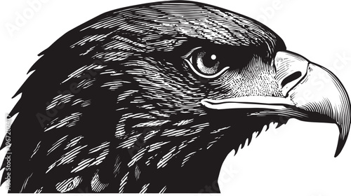 Detailed monochrome illustration of an eagles head profile vector design
