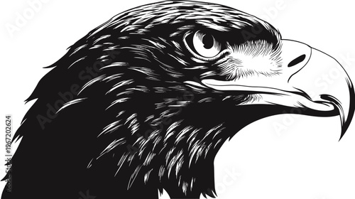 Bold eagle profile vector illustration depicting a powerful bird of prey