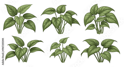 Collection of six green leafy houseplants in pots, isolated on white background, botanical illustration style