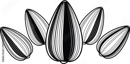 Black and white illustration of five sunflower seeds in a symmetrical arrangement on a white background.