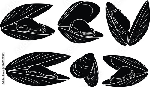 A set of black and white illustrations showing mussels in various open and closed states, isolated on a white background.