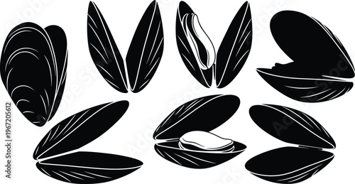A collection of black and white illustrations showing mussels in various states, from closed shells to open shells revealing the meat inside.