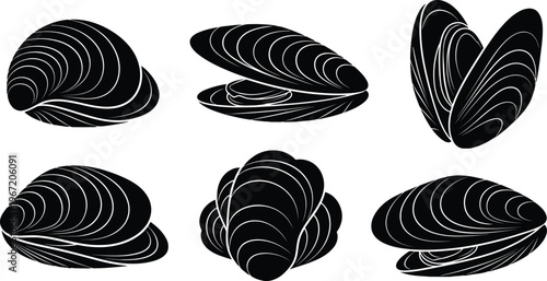 A collection of black and white illustrations showing different views of mussels, including open and closed shells