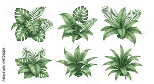 Collection of watercolor illustrations of lush green tropical foliage and exotic jungle plants isolated on a white background