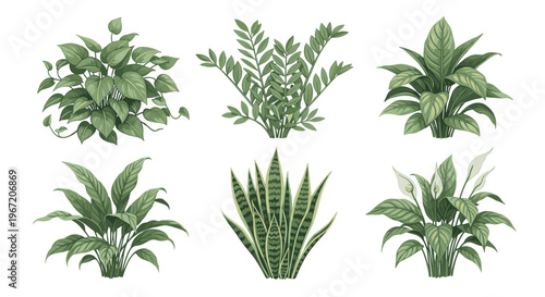 Collection of six green houseplants in watercolor style isolated on white background, perfect for home decor and botanical illustrations