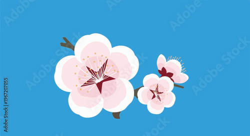 Pink blossoms on a branch against a blue sky