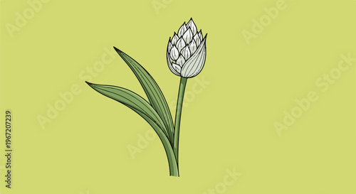 Stylized drawing of a white flower bud with green leaves on a yellow background