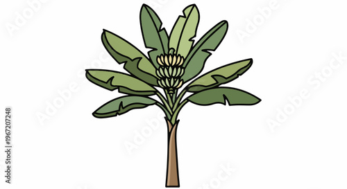 Stylized illustration of a banana plant with a bunch of green bananas