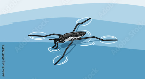 A water strider bug elegantly skates on the tranquil surface of blue water