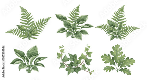Collection of watercolor illustrations of green foliage and ferns, perfect for naturalistic designs and botanical themes
