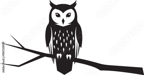 Black owl sitting on branch white bird