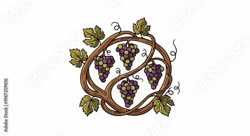Ornate vine wraps around clustered purple and green grapes