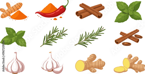 Herbs and Spices Collection Featuring Turmeric, Chili Pepper, Cinnamon Sticks, Basil, Rosemary, Garlic and Ginger Natural Cooking Ingredients Vector Set