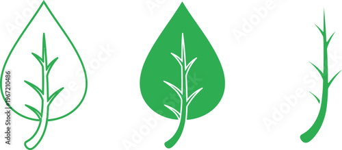 Three green leaves illustration a botanical study in simple lines