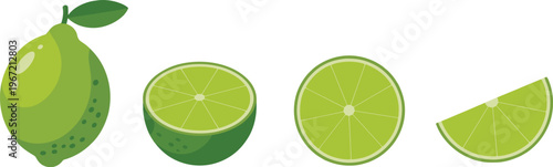 Lime fruit vector set with whole and sliced pieces, fresh citrus illustration, healthy food design