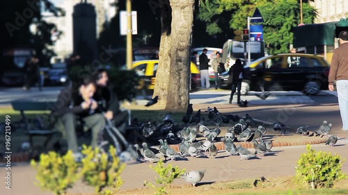 Blurred Couple on Park Bench with Pigeons at Public Square in Buenos Aires, Argentina, City Life Atmosphere - 4K