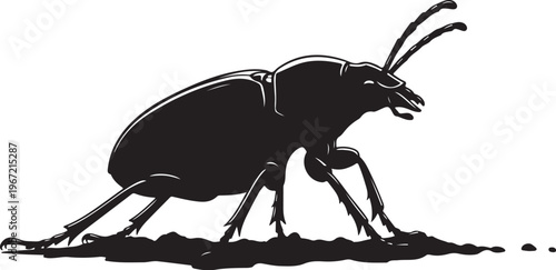 Black silhouette of a beetle on dirt insect