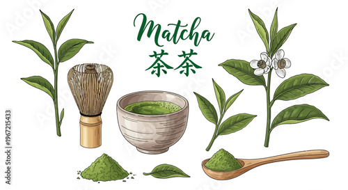A vibrant illustration of matcha tea ingredients and tools