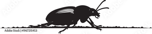 Black silhouette of a beetle on ground insect