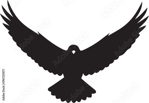 Black silhouette of a bird in flight with outstretched wings