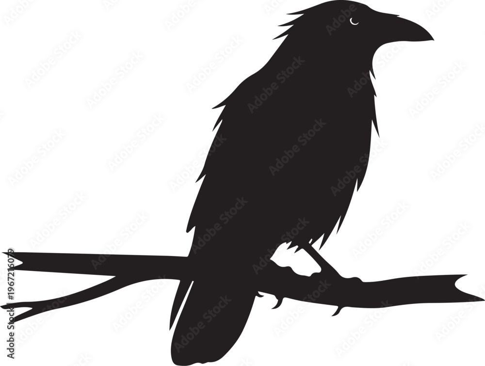 Naklejka premium Black silhouette of a bird on a branch white background