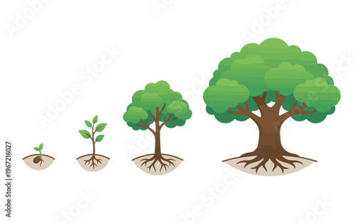 Visual Representation of Tree Growth Stages From Tiny Seedling to Mature Plant, Illustrating Fundamental Development and Natural Progression for Sustainable Futures