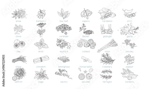 A set of spices, seasonings, culinary herbs in retro style