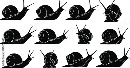 Black silhouette snail vector set featuring twelve diverse shell and body positions, spiral outlines, crawling poses for nature, biology, and design illustration