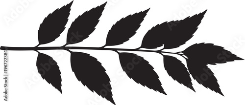 Black silhouette of a leafy branch leaves