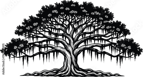 Ancient banyan tree illustration, detailed vintage tree with roots and hanging moss nature botanical vector design isolated graphic element