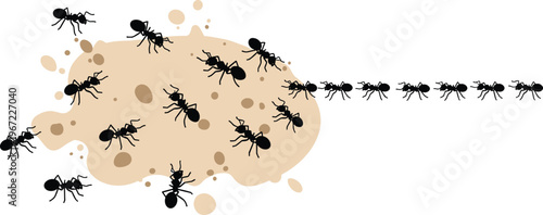 Ant Swarm Silhouette On Liquid Spill, Worker Ants Marching Toward Food Source, Pest Control and Infestation Concept, Flat Vector