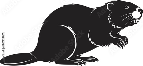 Beaver Silhouette Vector Illustration Featuring Detailed Fur Texture Flat Tail and Incisors for North American Wildlife Conservation National Park Branding and River Animal Graphics Flat Vector 